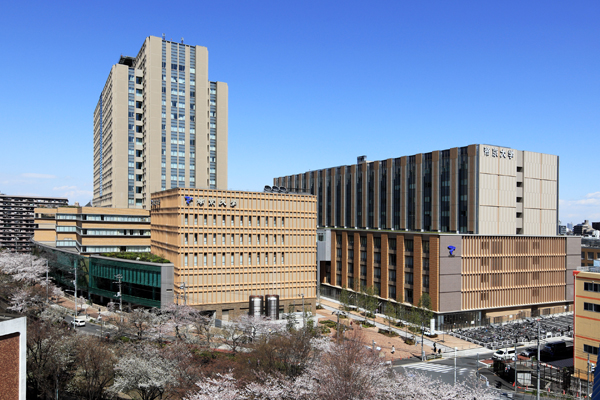 大学 帝京