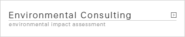 Environmental Consulting
