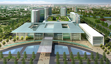 Shanghai Eastern Hepatobiliary Surgery Hospital, Anting