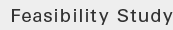 Feasibility Study